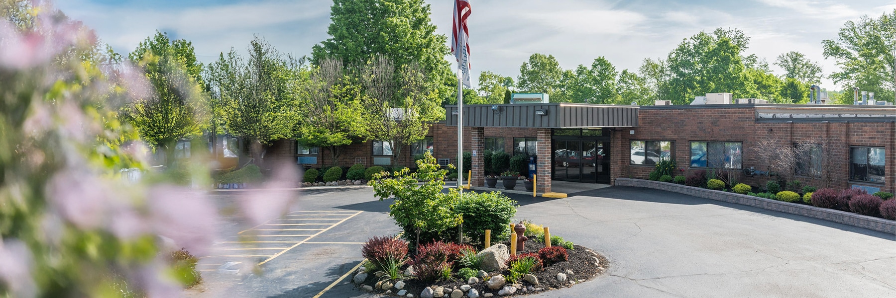 Desktop Background Image